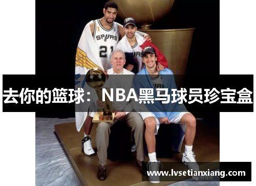 去你的篮球：NBA黑马球员珍宝盒